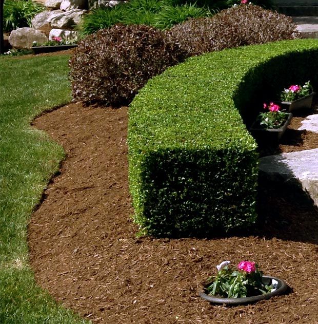 Courtyard Stone & Landscape Maintenance