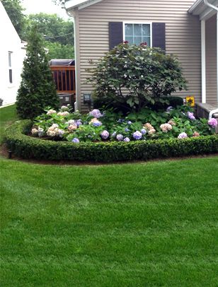 Courtyard Stone & Landscape Plantings Hedges